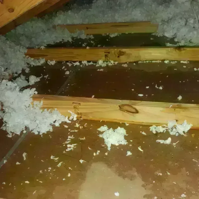 Attic Water Damage in Brooklyn Center, MN